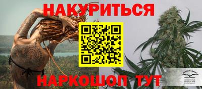 прущие грибы Новокубанск