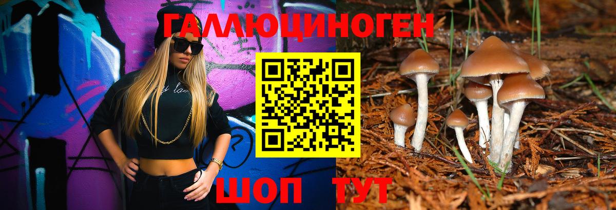 Псилоцибиновые грибы MAGIC MUSHROOMS  Вход с VPN  Нижнеудинск 